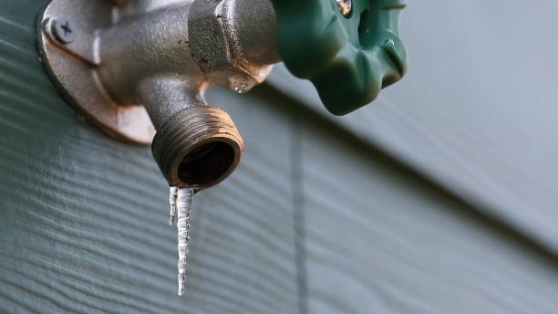 Best Plumbing Repair Near Me  in Robstown, TX